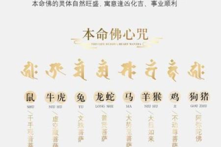 牛年已逝，新生虎年命运解析，让您的财富与运势腾飞！