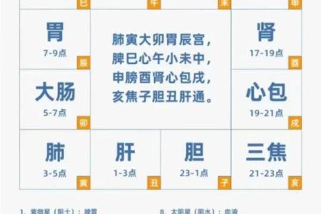 命理解析：紫薇命的秘密与人生启示