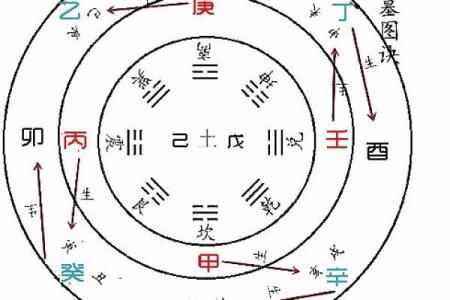 命理揭秘：凤凰之命的神秘与启示