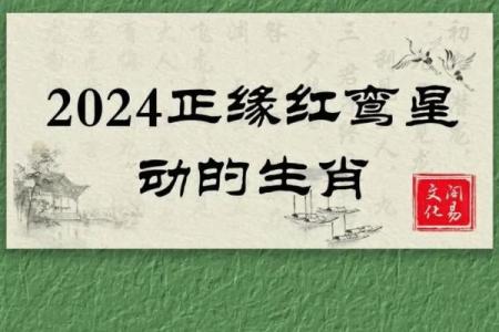 命理解析：财富是命中注定还是后天努力？你怎么看！