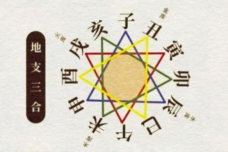 酉的魅力：男命地支酉的深刻内涵与人生启示