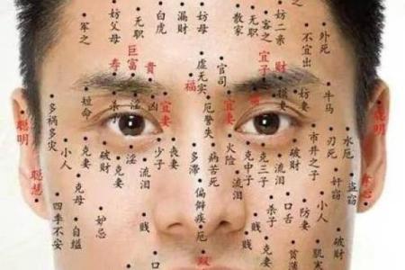 命带七杀旺，探秘其深层次影响与调和方法