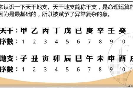 女命八字解析：揭示生活、感情与事业的秘密之窗