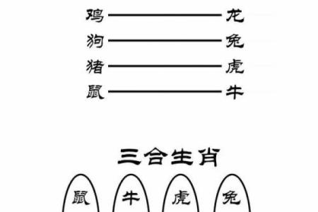 命理与生肖：两手腾空背后的生肖密码解读