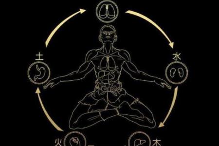 探索“女相男命”的奥秘：文化与命理的交汇