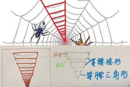 探寻命格奥秘：揭示你独特命运的秘密与类型
