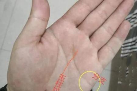 女人川字纹手相解析：揭秘她们的命运与个性特征