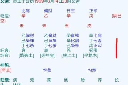 探寻女命八字中的子女运势：如何解读与运用