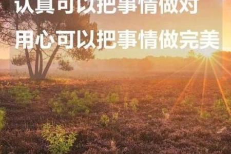 两命别踢：探秘生活中的命运交错与选择