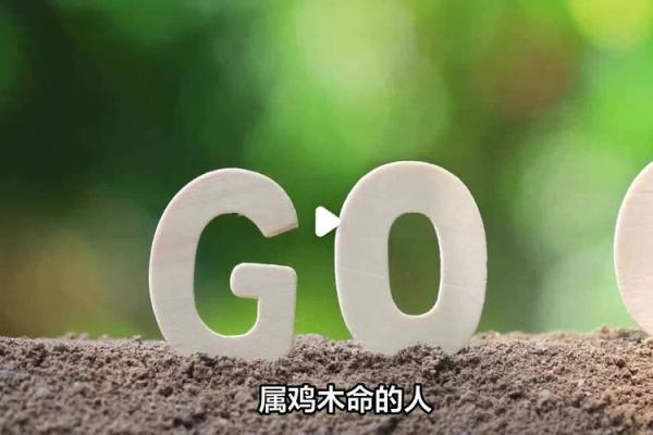 探索命属木的生意之道:适合木命人的创业选择与建议 探索命属木的生意之道:适合木命人的创业选择与建议