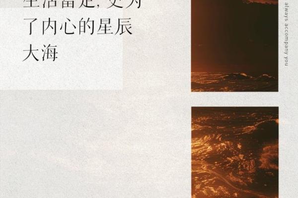 揭开九条二命的神秘面纱,解读其生活智慧与实用价值 揭开九条二命的神秘面纱,解读其生活智慧与实用价值