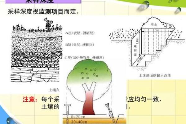 路旁土命:探寻命理中的土元素与男性生活的深度联系 路旁土命:探寻命理中的土元素与男性生活的深度联系