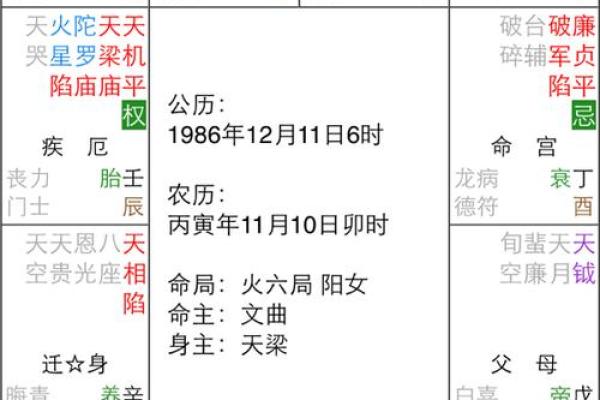 禄存身之天梁:揭示命主的状态与人生机遇 禄存身之天梁:揭示命主的状态与人生机遇