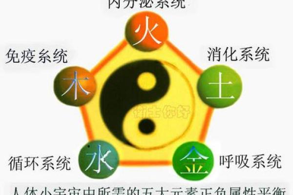 炉中火命与相克命之间的微妙关系探讨 炉中火命与相克命之间的微妙关系探讨