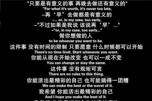 忙命天涯:在人生旅途中不断追寻的冒险与意义 忙命天涯:在人生旅途中不断追寻的冒险与意义