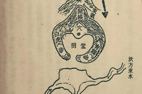 龙入首:命理中的神秘象征与人生意义 龙入首:命理中的神秘象征与人生意义