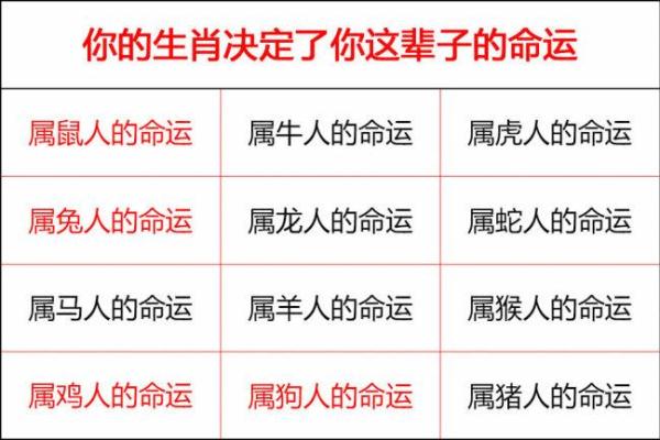 七岁命格揭秘:探讨七岁命理教给我们的智慧与人生启示 七岁命格揭秘:探讨七岁命理教给我们的智慧与人生启示
