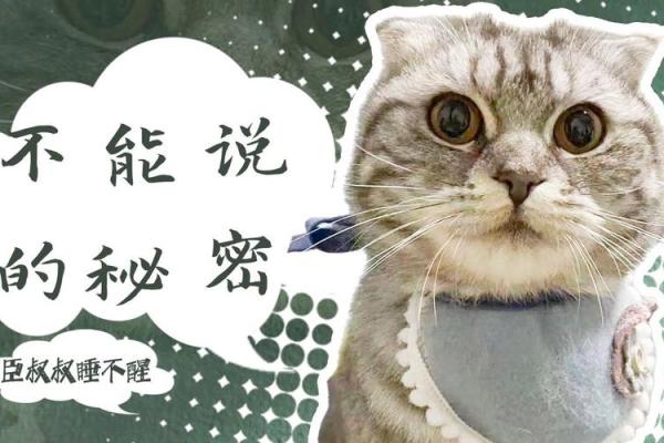 命运的秘密:揭秘那些命还挺大的人是什么命! 命运的秘密:揭秘那些命还挺大的人是什么命!