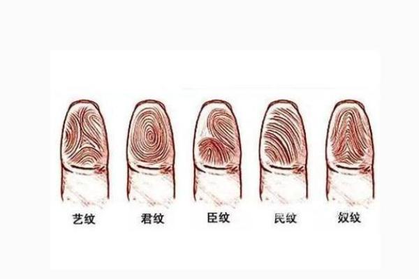 探秘拇指头的圆润命格,揭示你内心深处的智慧与潜力 探秘拇指头的圆润命格,揭示你内心深处的智慧与潜力