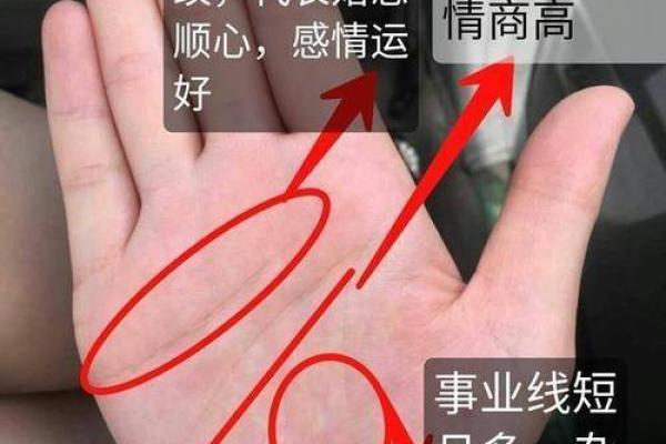 萍字在男性名字中的命运解析:生命的流动与智慧的象征 萍字在男性名字中的命运解析:生命的流动与智慧的象征