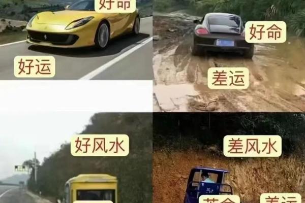 木命与哪些命最合财运,如何寻求财富运势提升? 木命与哪些命最合财运,如何寻求财富运势提升?