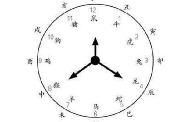 六九年出生的鸡:性格与命运的巧妙结合 六九年出生的鸡:性格与命运的巧妙结合