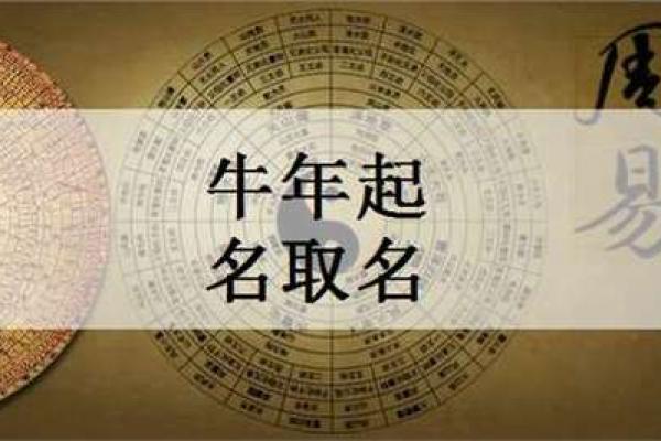 牛年男孩命理解析:如何塑造未来的性格与运势? 牛年男孩命理解析:如何塑造未来的性格与运势?