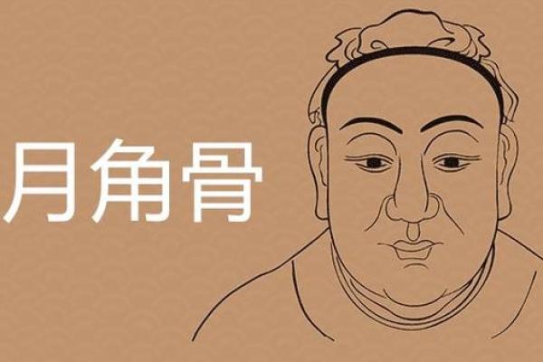 揭秘六月初二的命运特征与人生智慧 揭秘六月初二的命运特征与人生智慧
