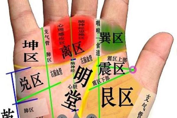 命理线解析:了解你手中的命运密码,揭示生活的奥秘与潜能 命理线解析:了解你手中的命运密码,揭示生活的奥秘与潜能