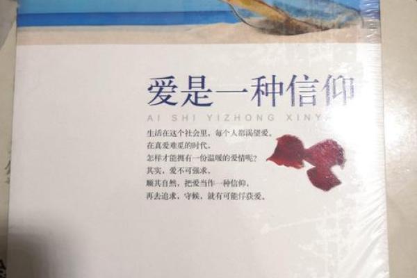 拼了命找你,爱情到底能否成为一种信仰? 拼了命找你,爱情到底能否成为一种信仰?