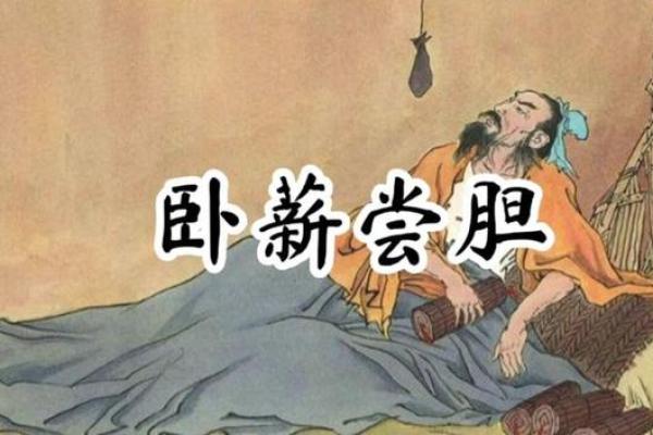 命不是命,人生的选择与自我价值的探索 命不是命,人生的选择与自我价值的探索