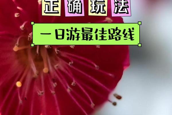 命里带姑苏,探寻梦想与生活的诗意之地 命里带姑苏,探寻梦想与生活的诗意之地