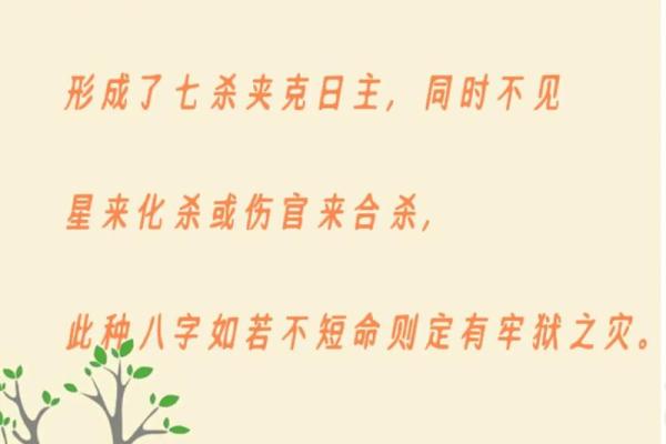 男命七杀:命理中的狂野与挑战,象征着飞跃与蜕变的力量 男命七杀:命理中的狂野与挑战,象征着飞跃与蜕变的力量