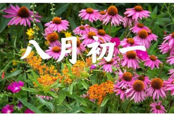 明年八月初一的命运解析:五行与星象的奇妙交织 明年八月初一的命运解析:五行与星象的奇妙交织