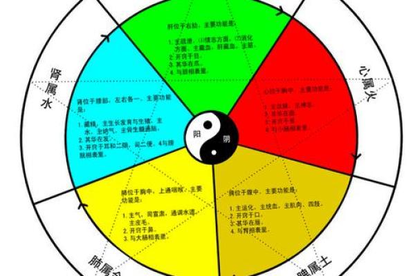 女性命理解析:3.2钱命的探索与启示 女性命理解析:3.2钱命的探索与启示