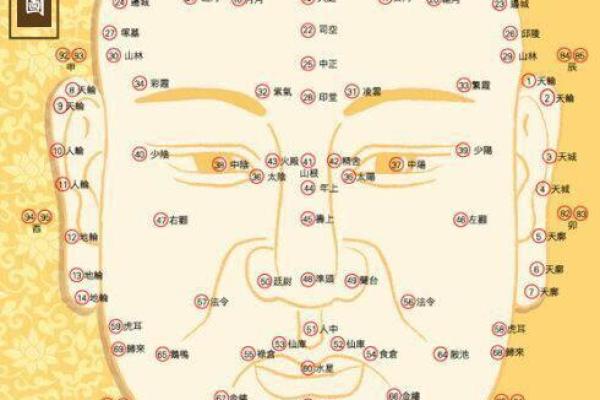 美人尖的男命解析:揭秘你人生的独特路径与运势 美人尖的男命解析:揭秘你人生的独特路径与运势