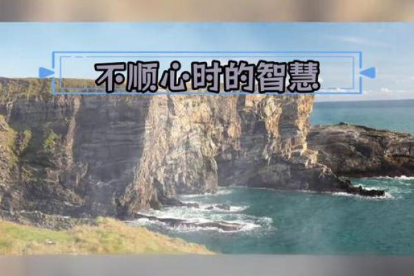 没有爱情的命,如何走出人生的低谷? 没有爱情的命,如何走出人生的低谷?