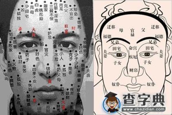 揭秘:男人面相如何影响妻子的命运与财富 揭秘:男人面相如何影响妻子的命运与财富