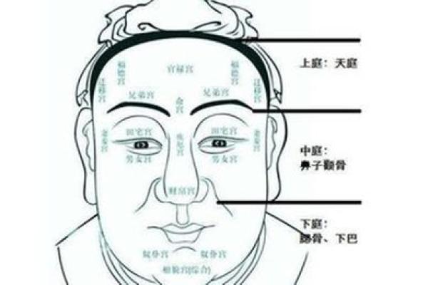 命理中的官运:探寻你的职场风水与人生方向 命理中的官运:探寻你的职场风水与人生方向