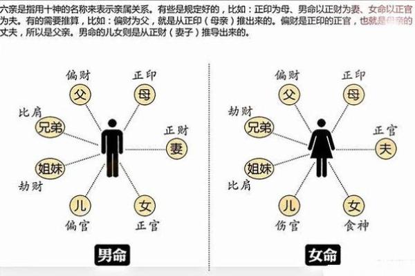 探秘克父母的命运:如何影响我们的生活与选择 探秘克父母的命运:如何影响我们的生活与选择