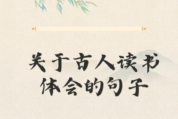 流年命带驿马的奥秘与生活智慧 流年命带驿马的奥秘与生活智慧