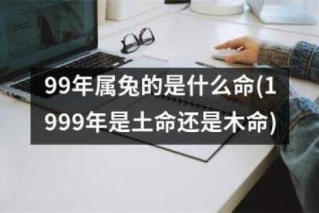 探索命属木的生意之道：适合木命人的创业选择与建议