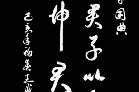 命带太刚：理解如何在生活中平衡刚强与柔顺的力量