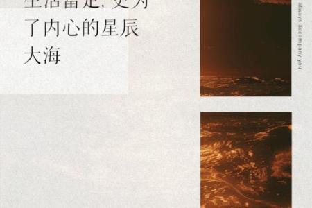 揭开九条二命的神秘面纱，解读其生活智慧与实用价值