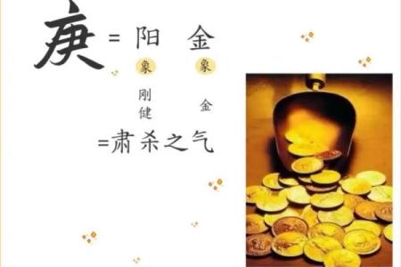 探秘女命八字：七阳一阴的深意与人生启示