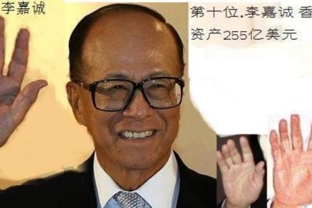 农历八一年出生的人命运解析：性格、事业与人生轨迹