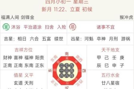 明年虎年，解读2024年虎命的命理特征与运势展望