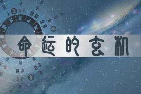 木命与匹配最佳命理分析：深度探讨五行相生的奥秘