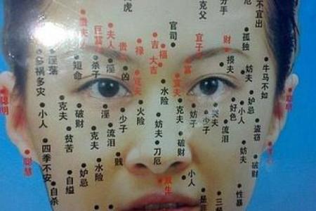 命里克妻的表现：如何识别与经营这段缘分的秘密