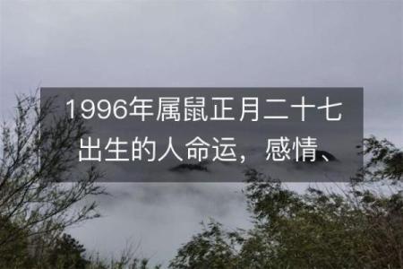 揭示鼠类五行属性之谜：如何通过命理洞察生辰潜能